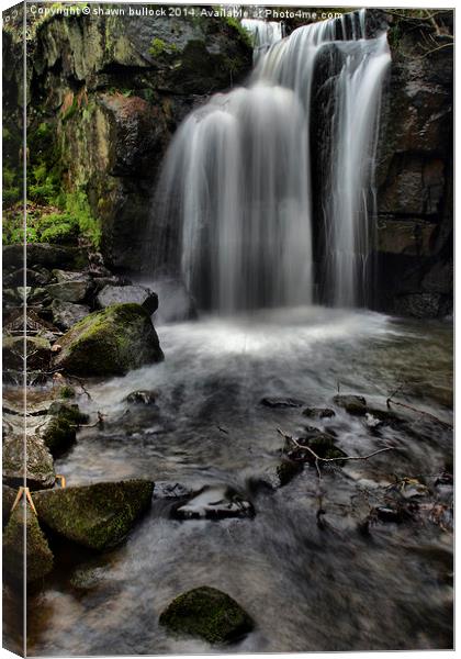 lumsdale water fall Canvas Print by shawn bullock