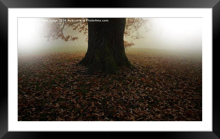  Autumn the season of colour and mystery  Framed Mounted Print by Heaven's Gift xxx68