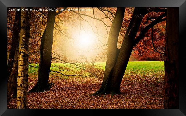  Autumn on the Heath  Framed Print by Heaven's Gift xxx68