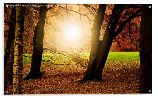  Autumn on the Heath  Acrylic by Heaven's Gift xxx68