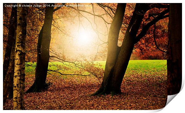  Autumn on the Heath  Print by Heaven's Gift xxx68