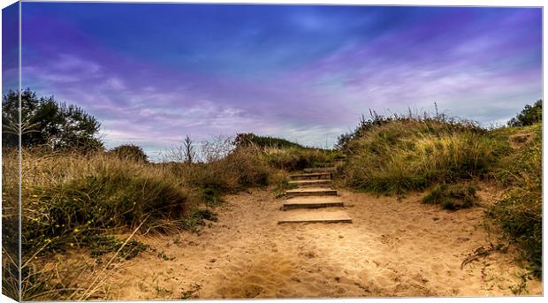  Steps  Canvas Print by paul holt