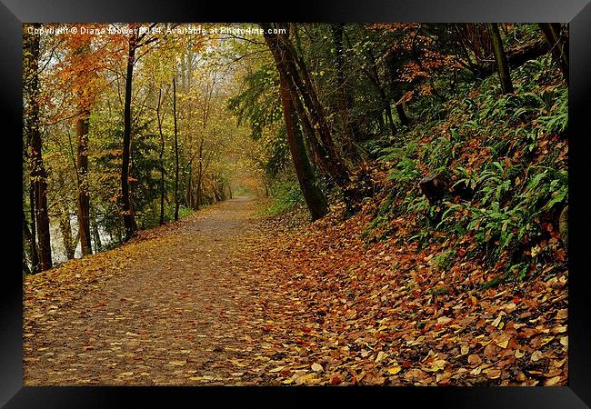 Symonds Yat Autumn Framed Print by Diana Mower