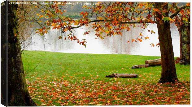  Autumn  on parliment hill  Canvas Print by Heaven's Gift xxx68