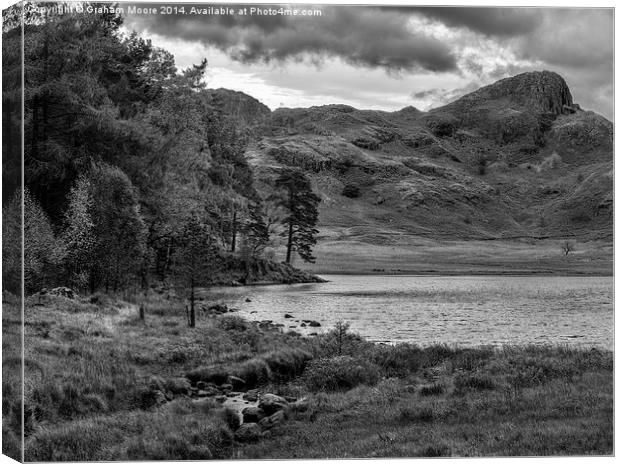 Blea Tarn Canvas Print by Graham Moore