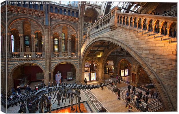  Dinosaur at the Museum Canvas Print by Graham Custance