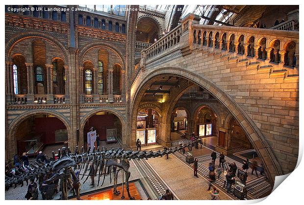  Dinosaur at the Museum Print by Graham Custance