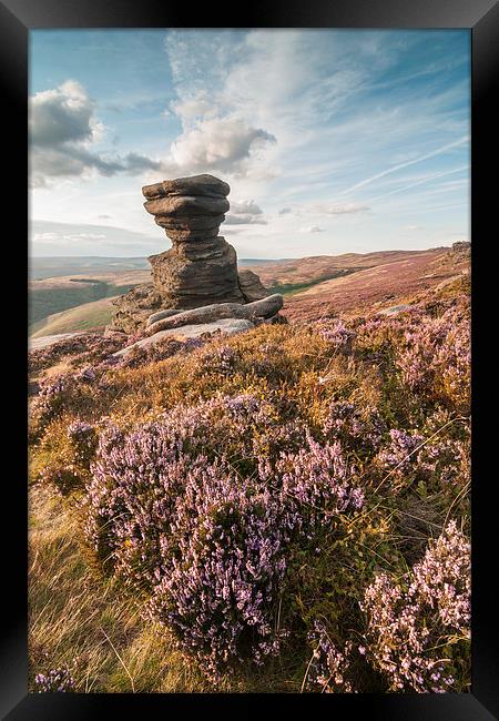  Salt Cellar Framed Print by James Grant