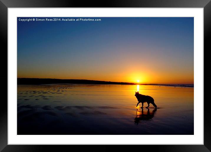  Beach Hound Framed Mounted Print by Simon Rees
