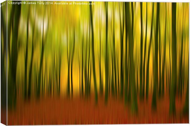 A falling breeze, walking through the fall colors Canvas Print by James Tully