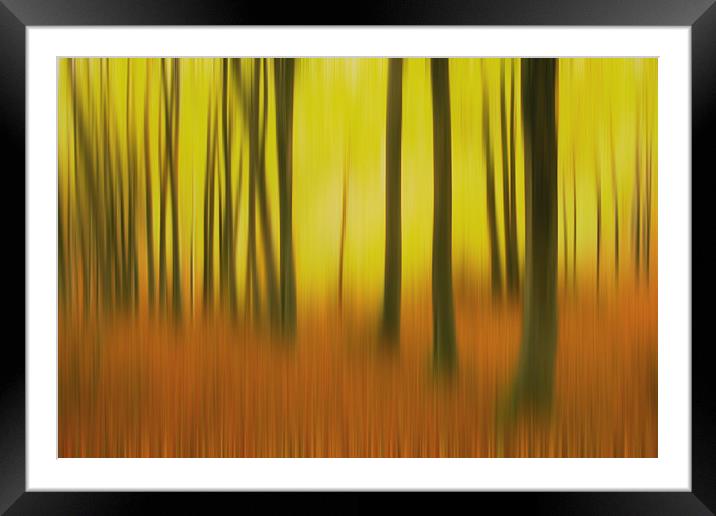 A fall sunrise Framed Mounted Print by James Tully