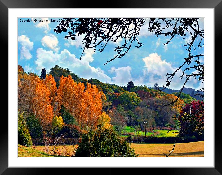 Beautiful colours of nature.  Framed Mounted Print by Jason Williams