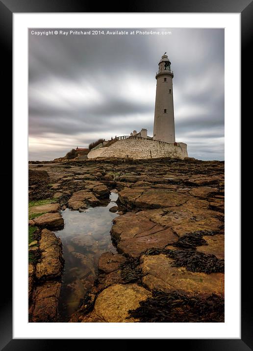  St Marys Lighthouse  Framed Mounted Print by Ray Pritchard