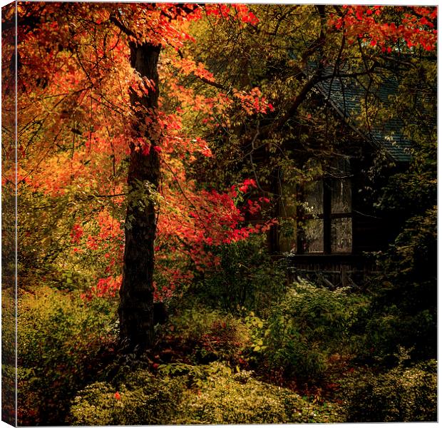 Autumn Fire Canvas Print by Chris Lord