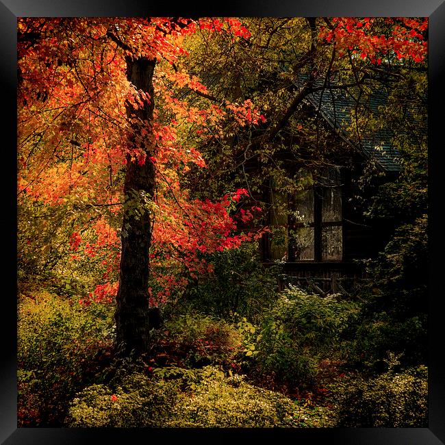 Autumn Fire Framed Print by Chris Lord