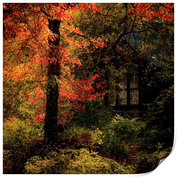 Autumn Fire Print by Chris Lord