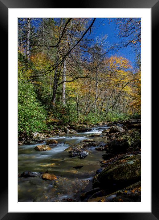  Autumn Flow Framed Mounted Print by Timothy Bell