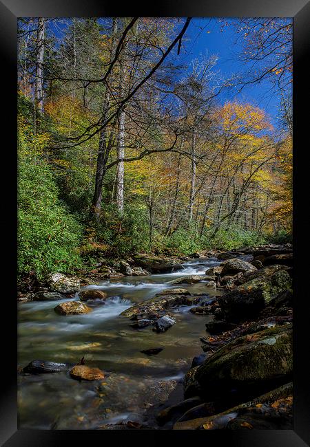  Autumn Flow Framed Print by Timothy Bell