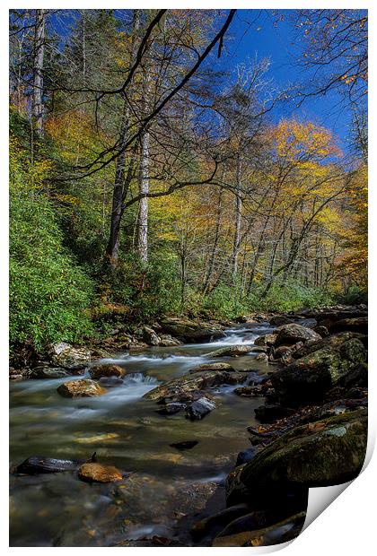  Autumn Flow Print by Timothy Bell