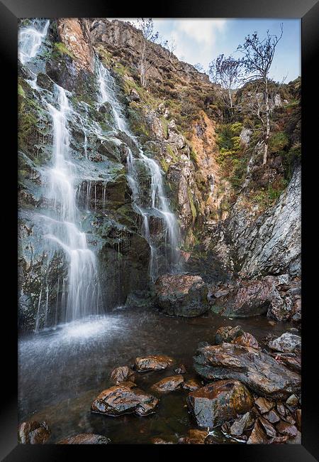  Moss Force Framed Print by James Grant