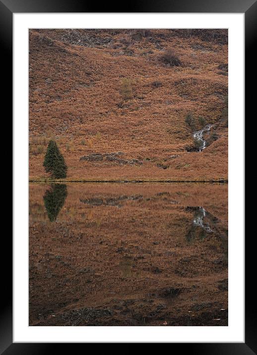  Mirror Mirror Framed Mounted Print by James Grant