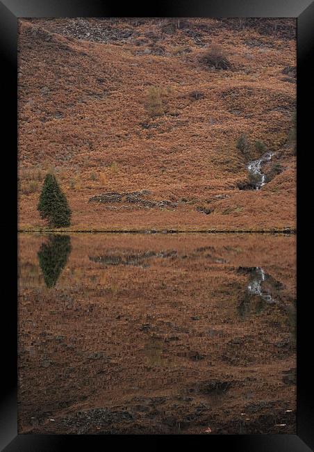 Mirror Mirror Framed Print by James Grant