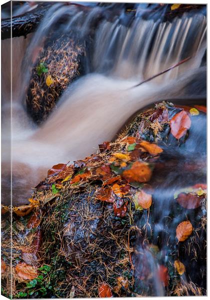 Wyming Brook Abstract Canvas Print by James Grant