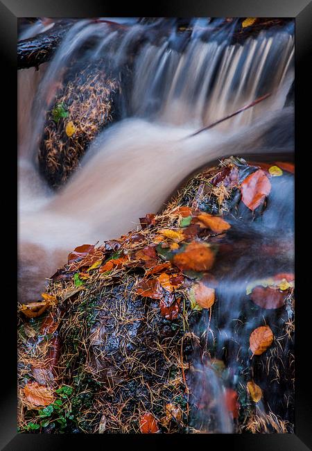  Wyming Brook Abstract Framed Print by James Grant