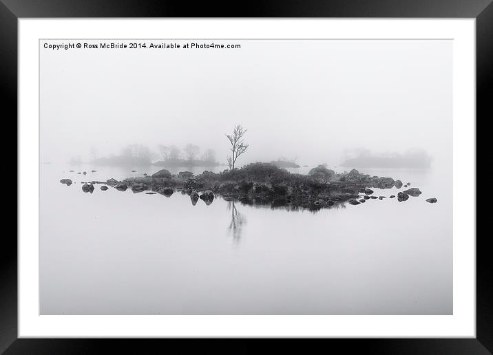  Lonesome tree Framed Mounted Print by Ross McBride