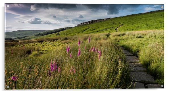  Stanage Edge Panoramic Acrylic by James Grant