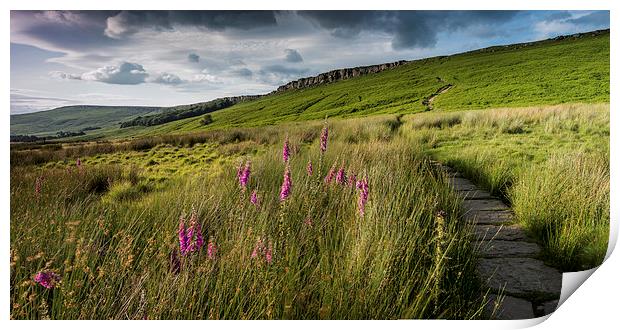  Stanage Edge Panoramic Print by James Grant