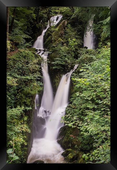  Stock Ghyll Framed Print by James Grant