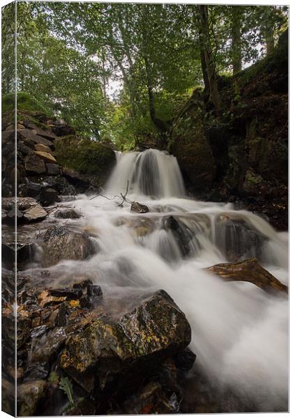  Tarn Hows Falls Canvas Print by James Grant