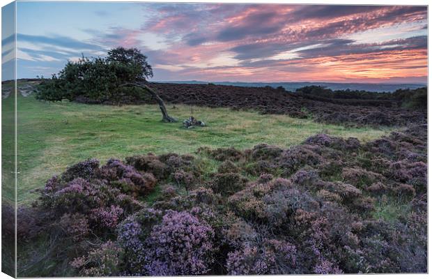  Stanton Moor Leaning Tree Canvas Print by James Grant