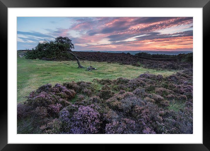  Stanton Moor Leaning Tree Framed Mounted Print by James Grant