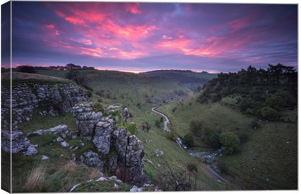  Parsons Tor Canvas Print by James Grant