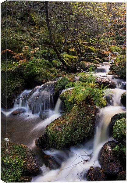 Wyming Brook Canvas Print by James Grant