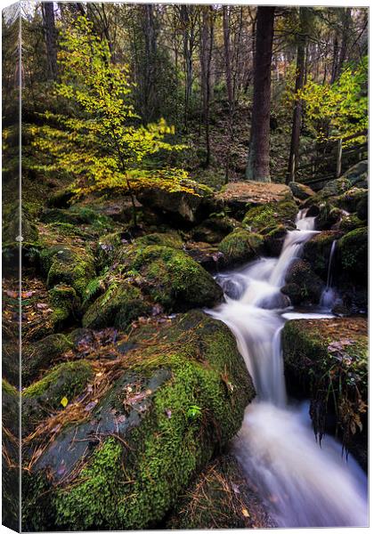  Wyming Brook Canvas Print by James Grant