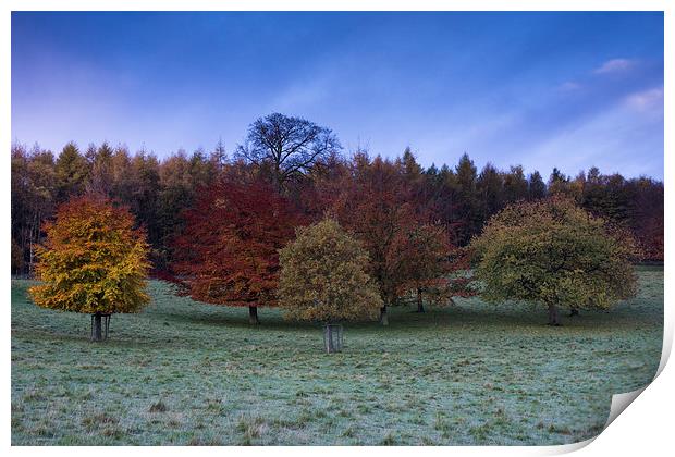  Chatsworth Houser Autumn Trees Print by James Grant