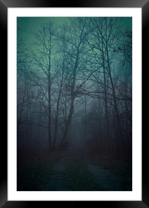 Spooky forest Framed Mounted Print by Piotr Tyminski