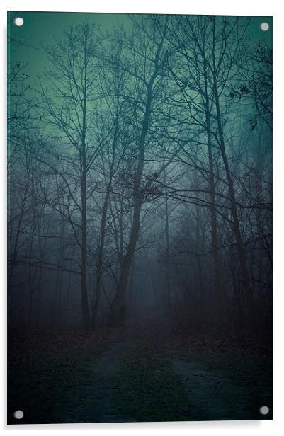 Spooky forest Acrylic by Piotr Tyminski