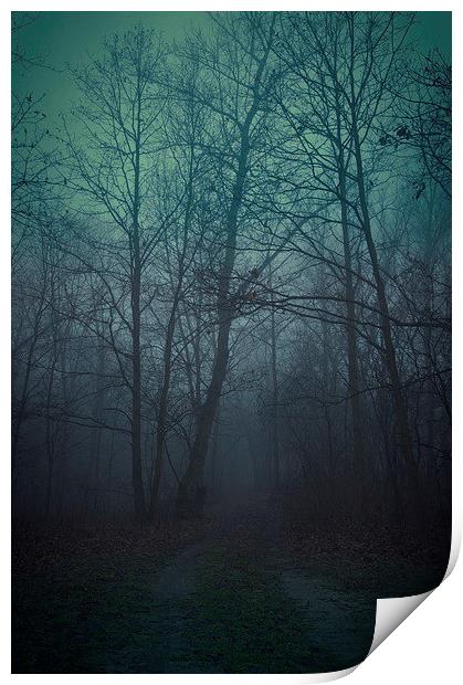 Spooky forest Print by Piotr Tyminski