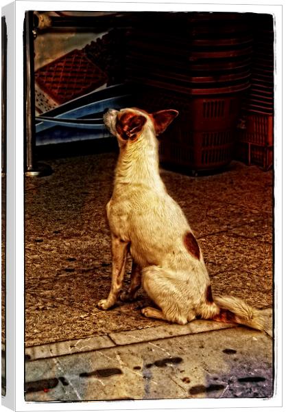   His Master's Voice Canvas Print by Mary Machare