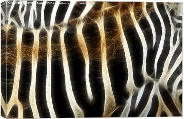 Zebra fractal  Canvas Print by Howard Corlett
