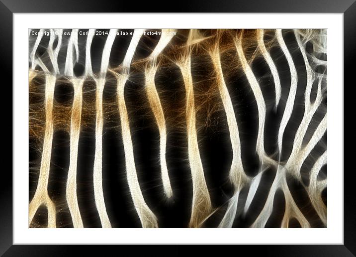 Zebra fractal  Framed Mounted Print by Howard Corlett