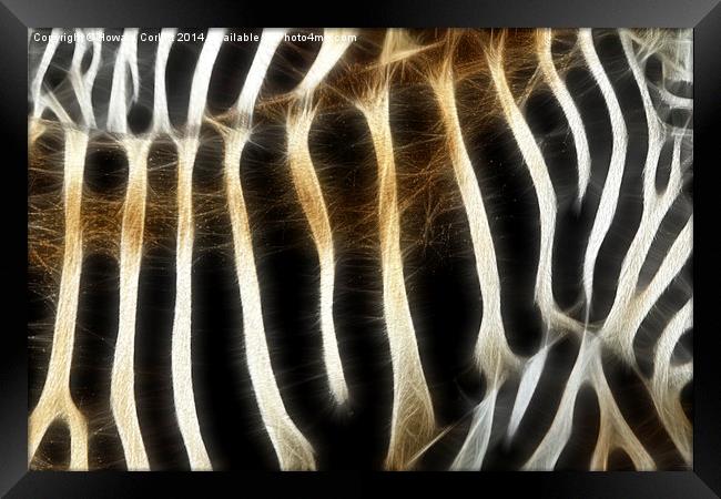 Zebra fractal  Framed Print by Howard Corlett