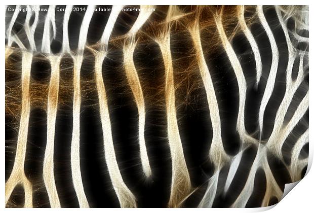 Zebra fractal  Print by Howard Corlett