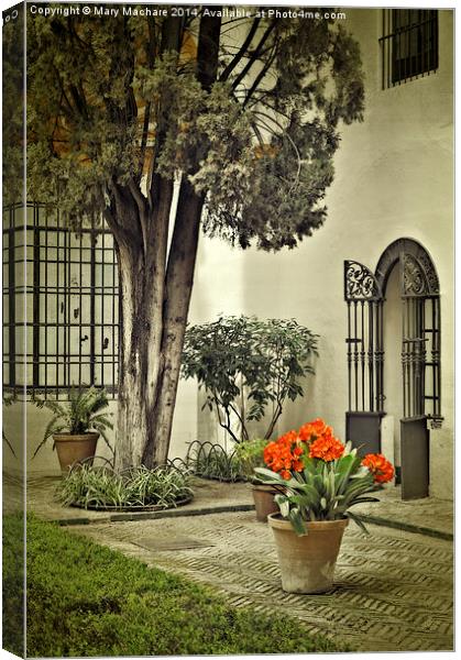 Red Geraniums In The Courtyard Canvas Print by Mary Machare