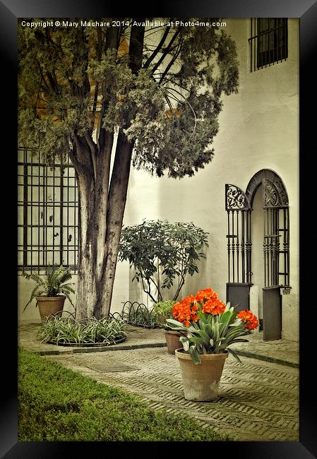 Red Geraniums In The Courtyard Framed Print by Mary Machare