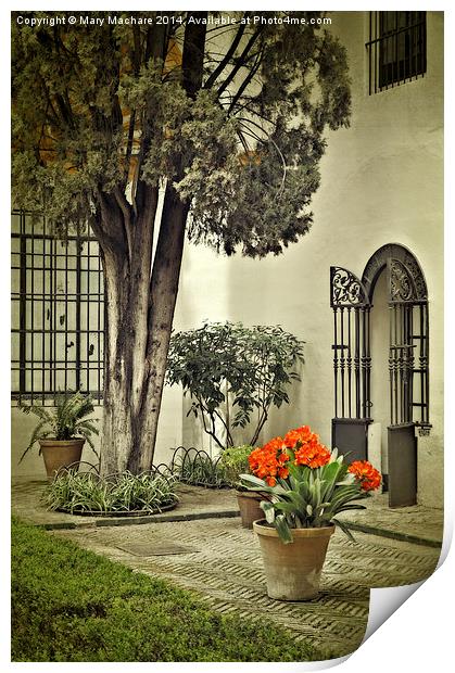 Red Geraniums In The Courtyard Print by Mary Machare
